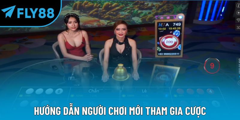 Cách Chơi Xóc Đĩa: Bí Quyết Thắng Lớn Trong Cá Cược Dân Gian - qorin