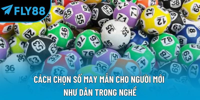 Xổ Số Fly88 Hướng Dẫn Chi Tiết Và Kinh Nghiệm Hiệu Quả - qorin