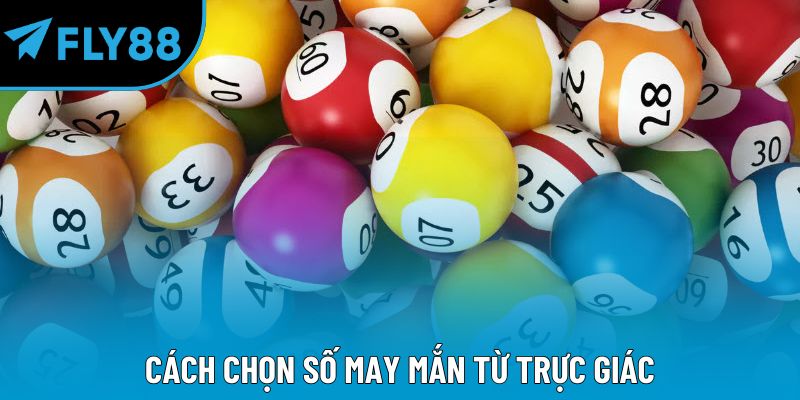 Cách Chọn Số May Mắn Cho Người Mới Như Dân Trong Nghề - qorin