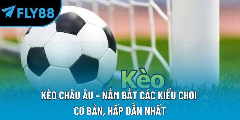 Thể Thao fly88 Hiện Đại Và Cơ Hội Nhận Thưởng Lớn - qorin