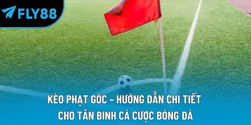 Thể Thao fly88 Hiện Đại Và Cơ Hội Nhận Thưởng Lớn - qorin