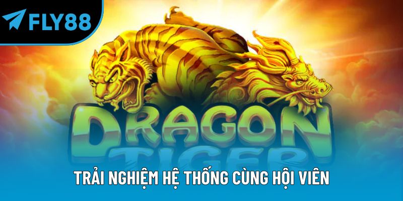 Rồng Hổ Online Fly88 Trải Nghiệm Giải Trí Đầy Hấp Dẫn - qorin