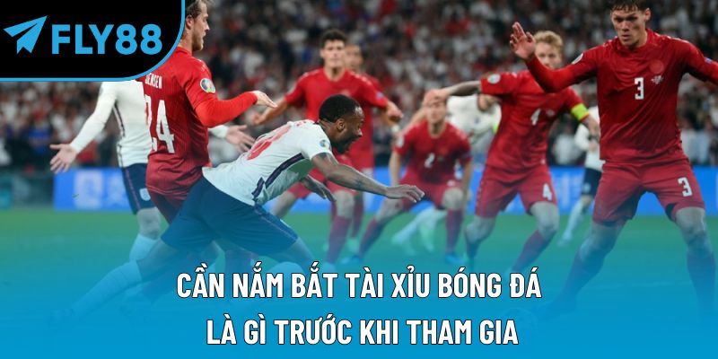 Tài Xỉu Bóng Đá Là Gì? Nắm Bắt Cách Đầu Tư Chuẩn Xác - qorin