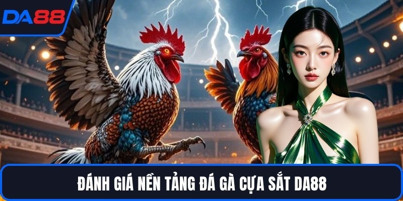 Đá Gà Cựa Sắt - Đấu Trường Của Những Chiến Kê Huyền Thoại - qorin