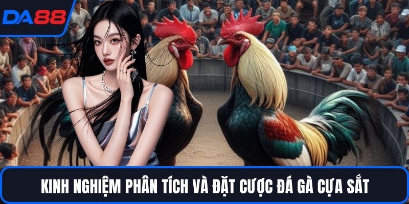 Đá Gà Cựa Sắt - Đấu Trường Của Những Chiến Kê Huyền Thoại - qorin