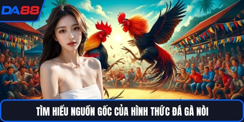Đá Gà Nòi DA88 - Dòng Chiến Kê Huyền Thoại Trên Sới - qorin