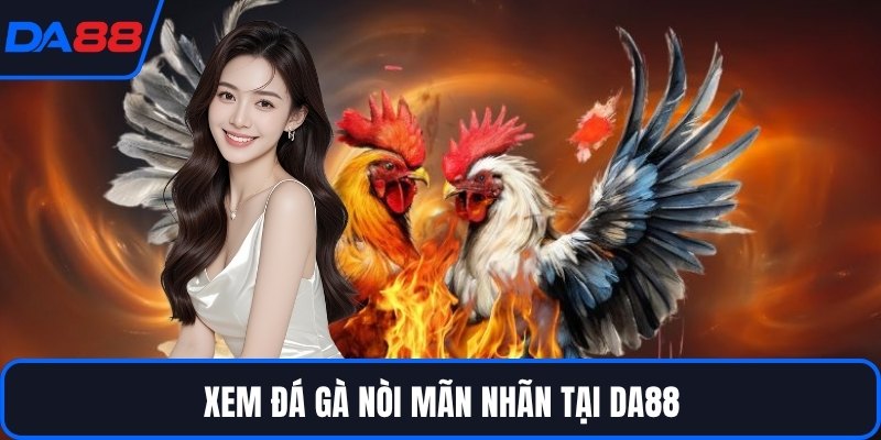 Đá Gà Nòi DA88 - Dòng Chiến Kê Huyền Thoại Trên Sới - qorin