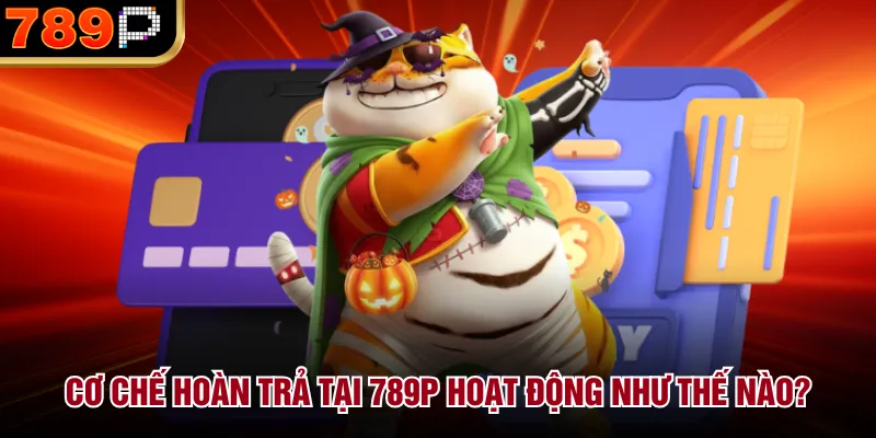Hoàn Trả Tại 789p Hoạt Động Như Thế Nào Và Cách Nhận - qorin Hoàn Trả Tại 789p Hoạt Động Như Thế Nào Và Cách Nhận - qorin
